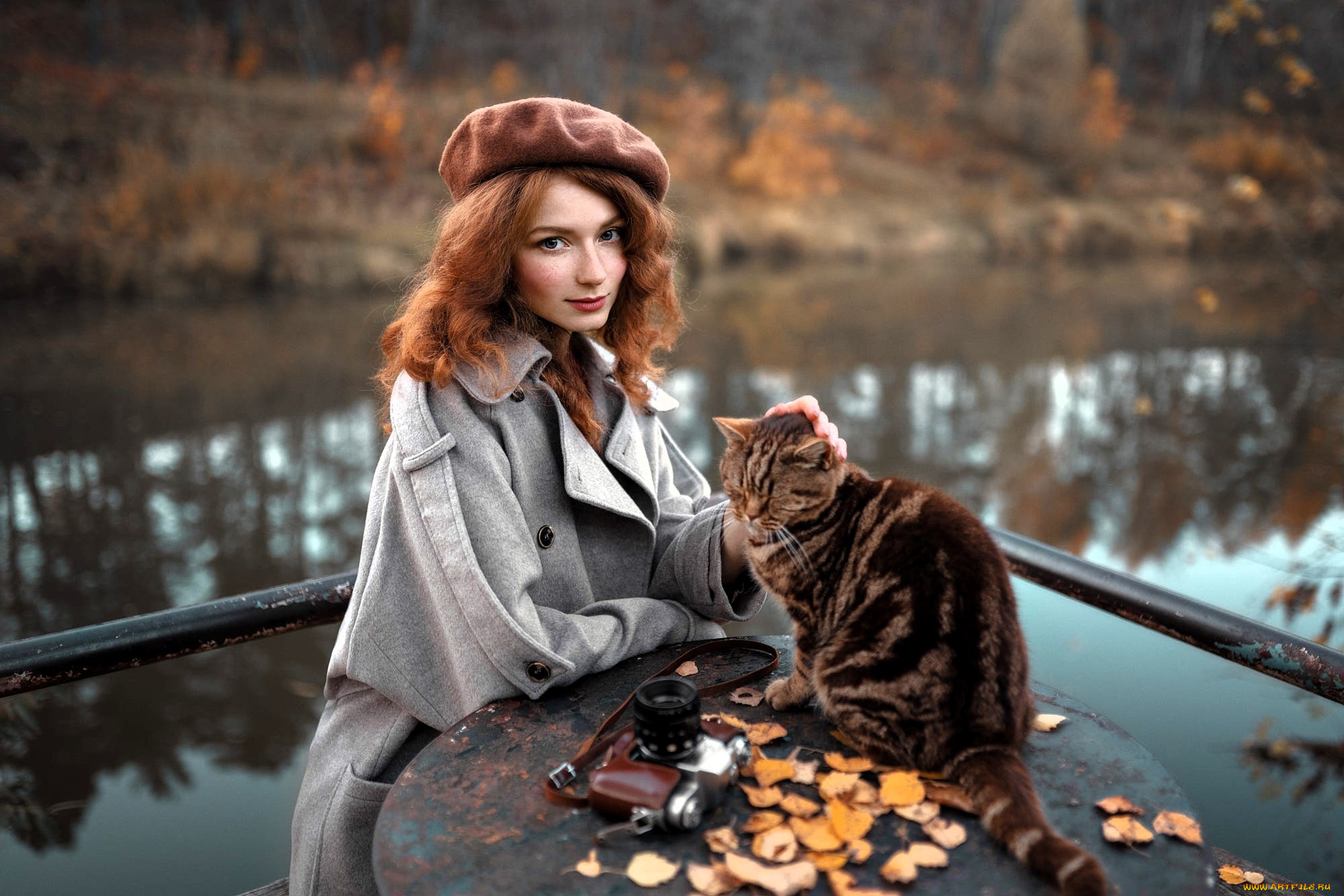 , -   , , , , , , , , 